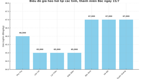 Giá heo hơi hôm nay 15/7/2025: Miền Bắc giảm nhẹ
