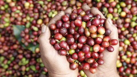 Tăng giá trị nông, thủy sản Việt bằng chế biến sâu và chuỗi liên kết bền vững