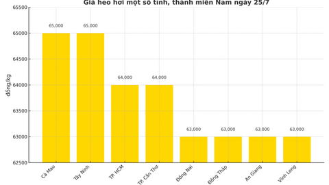 Giá heo hơi hôm nay ngày 25/7/2025: Chững giá sau chuỗi ngày giảm liên tiếp