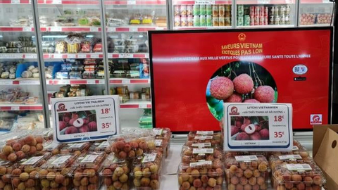 Thực thi EVFTA, kim ngạch thương mại Việt Nam - Pháp hướng đến 15 tỷ USD