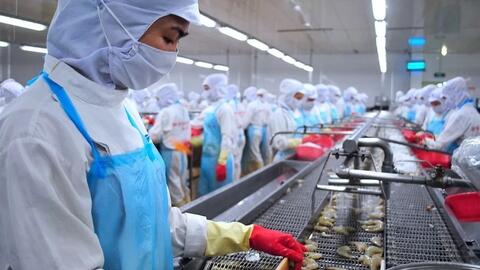5 năm EVFTA có hiệu lực: Thương mại Việt Nam - EU tích lũy gần 300 tỷ USD