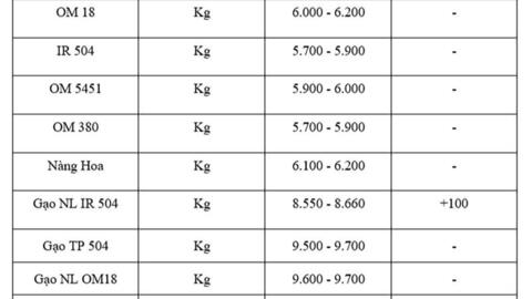 Giá lúa gạo hôm nay ngày 19/8: Gạo xuất khẩu tiếp đà tăng, lúa vững giá