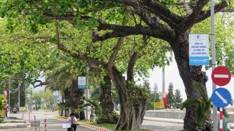 Điện lưới quốc gia hòa vào nhịp sống: Trợ lực để Côn Đảo phát triển bền vững
