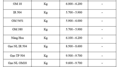 Giá lúa gạo hôm nay ngày 28/8: Lúa vững giá, gạo xuất khẩu đi ngang