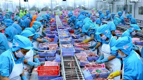 FTA Việt Nam - EFTA: ‘Chìa khóa’ mở rộng thương mại với thị trường Na Uy