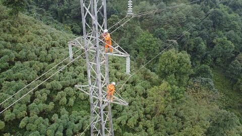 EVNNPC làm việc với AFD và EDF IN về kế hoạch hợp tác kỹ thuật năm 2025