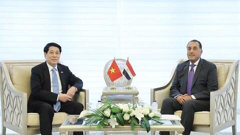 Thủ tướng Ai Cập đề xuất thành lập Hội đồng kinh doanh Việt Nam - Arab