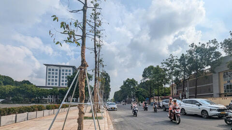 Hà Nội hoàn thành mở rộng đường Hùng Vương phục vụ Đại lễ 2/9