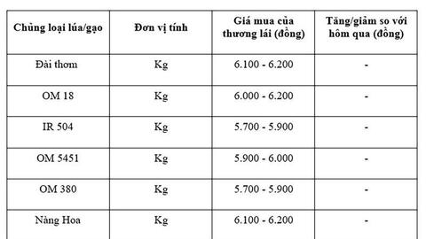 Giá lúa gạo hôm nay ngày 21/8: Gạo bình ổn, lúa tươi vững giá