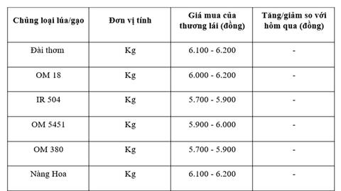 Giá lúa gạo hôm nay ngày 26/8: Gạo nguyên liệu giảm mạnh