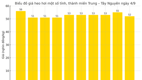 Giá heo hơi hôm nay 4/9/2025: Miền Bắc đảo chiều tăng