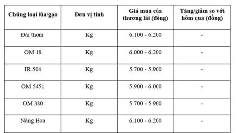 Giá lúa gạo hôm nay ngày 11/9: Thị trường lặng sóng