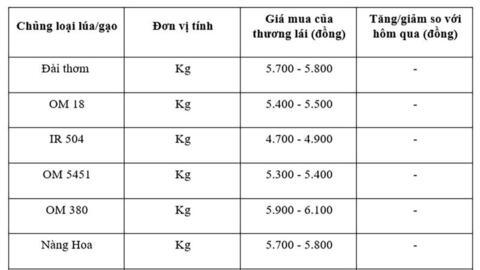 Giá lúa gạo hôm nay ngày 23/9: Gạo xuất khẩu đảo chiều giảm