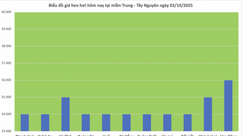 Giá heo hơi hôm nay 2/10/2025: Giảm rải rác nhiều nơi