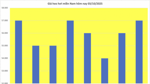 Giá heo hơi hôm nay 3/10/2025: Miền Trung và miền Nam tiếp đà giảm