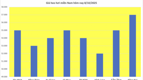 Giá heo hơi hôm nay 8/10/2025: Tiếp đà giảm tại miền Trung và miền Nam