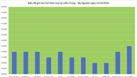 Giá heo hơi hôm nay 15/10/2025: Giảm nhẹ tại Tây Nguyên