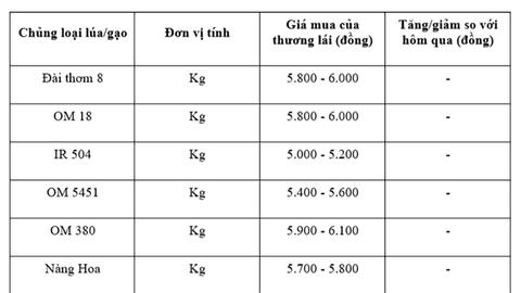 Giá lúa gạo hôm nay ngày 15/10: Gạo xuất khẩu biến động