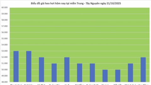 Giá heo hơi hôm nay 21/10/2025: Biến động trái chiều