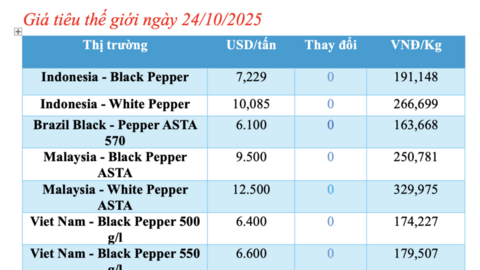 Giá tiêu hôm nay 24/10/2025: Duy trì ngưỡng giá