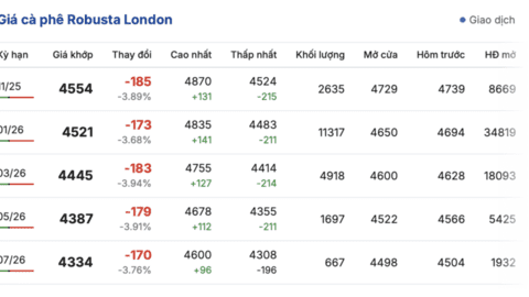Giá cà phê hôm nay 24/10/2025: Trong nước tăng mạnh, đạt đỉnh mới