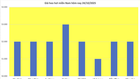 Giá heo hơi hôm nay 24/10/2025: Ổn định ở cả 3 miền