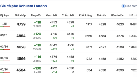 Giá cà phê hôm nay 27/10/2025: Lặng sóng đầu tuần
