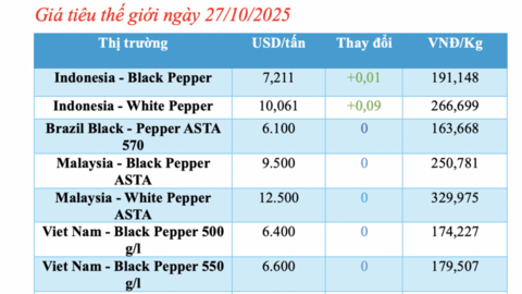 Giá tiêu hôm nay 27/10/2025: Dao động 142.000 - 143.000 đồng/kg