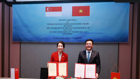 Ký kết thương mại gạo với Singapore, mở rộng cơ hội xuất khẩu gạo Việt