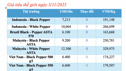 Giá tiêu hôm nay 3/11/2025: Duy trì giá cao