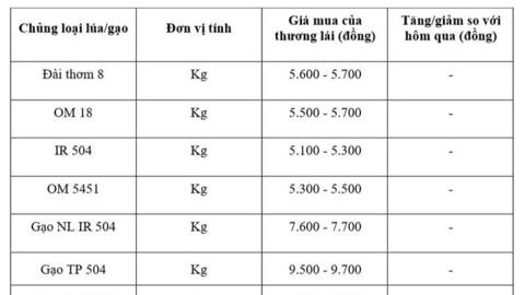 Giá lúa gạo hôm nay ngày 11/11: Gạo bình ổn, lúa tươi vững giá