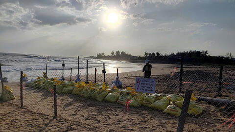 Quảng Ngãi: Đảm bảo an toàn tuyến cáp xuyên biển cấp điện cho Lý Sơn