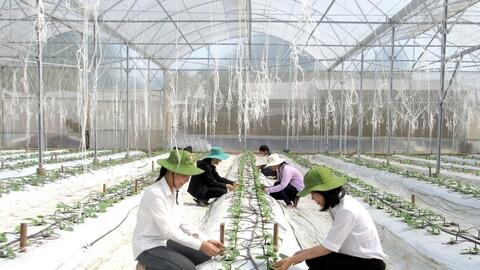 Giáo dục ưu tiên đào tạo các ngành đang 'khát' nhân lực chất lượng cao