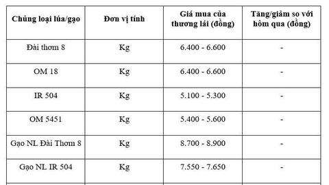 Giá lúa gạo hôm nay ngày 3/12: Gạo ít biến động, lúa tươi vững giá