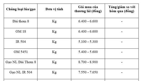 Giá lúa gạo hôm nay ngày 8/12: Gạo xuất khẩu OM 5451 đảo chiều tăng