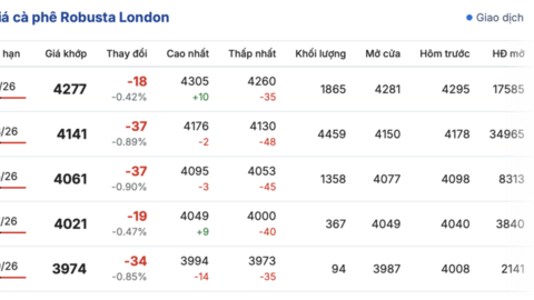 Giá cà phê hôm nay 9/12/2025: Tăng nhẹ 200 đồng/kg