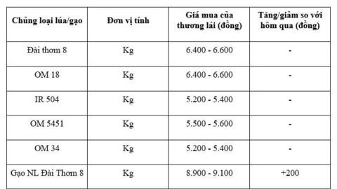 Giá lúa gạo hôm nay ngày 15/12: Nguồn cung ít, giá bình ổn