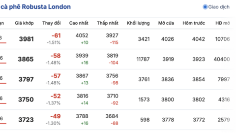 Giá cà phê hôm nay 17/12/2025: Tiếp tục giảm sâu