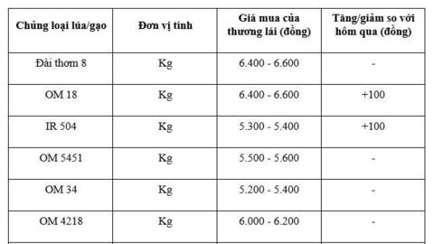 Giá lúa gạo hôm nay ngày 17/12: Lúa đảo chiều tăng