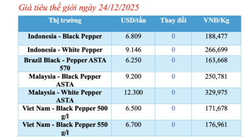 Giá tiêu hôm nay 24/12/2025: Đi ngang