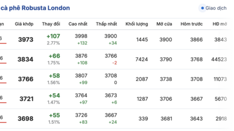 Giá cà phê hôm nay 24/12/2025: Tăng mạnh 1.000 - 1.500 đồng/kg