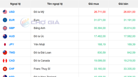 Tỷ giá USD ngày 24/12/2025: Trong nước giảm nhẹ