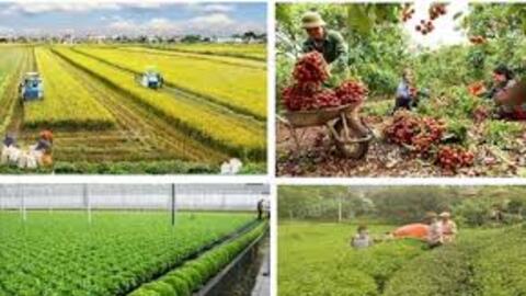 Năm 2025, ngành Nông nghiệp và Môi trường đạt và vượt 9/9 chỉ tiêu