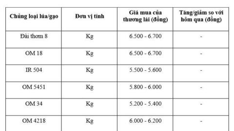 Giá lúa gạo hôm nay ngày 9/1: Gạo thơm dẻo neo cao, lúa tươi vững giá