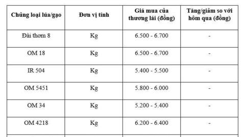 Giá lúa gạo hôm nay ngày 10/2/2026: Mua bán cầm chừng, giá ổn định