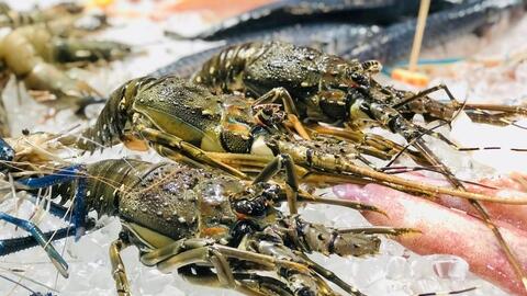 Doanh nghiệp cần làm gì để giữ lợi thế của ngành tôm tại EU?