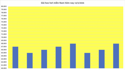 Giá heo hơi hôm nay 13/3/2026: Biến động trái chiều