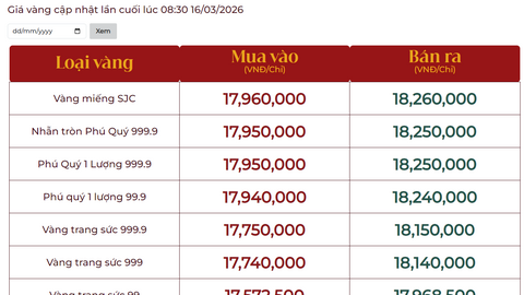 Bảng giá ngày 16/3 tại các công ty vàng bạc đá quý