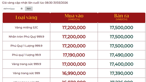 Bảng giá tại các công ty vàng bạc đá quý ngày 31/3