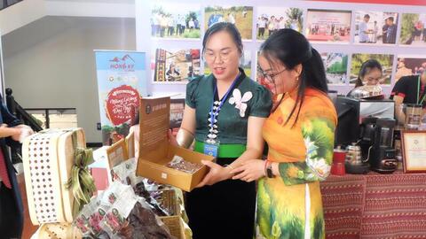 Điện Biên: Đẩy mạnh phát triển OCOP, gia tăng giá trị nông sản bản địa